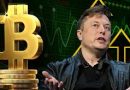 Elon Musk Amerika Partisi ve Bitcoin!